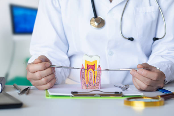Best Emergency Denture Repair in Canyon Lake, TX